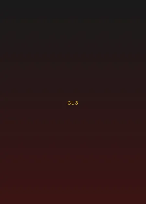 四虎视频 - 无间道经典海报